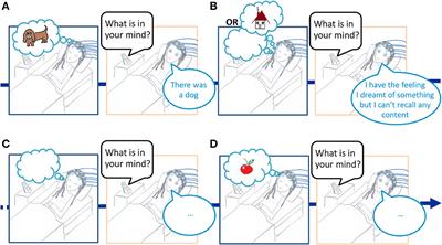 The Neural Correlates of Dreaming Have Not Been Identified Yet. Commentary on “The Neural Correlates of Dreaming. Nat Neurosci. 2017”